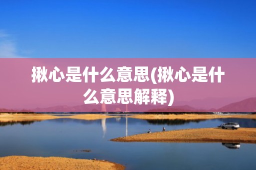 揪心是什么意思(揪心是什么意思解释)