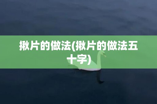 揪片的做法(揪片的做法五十字)