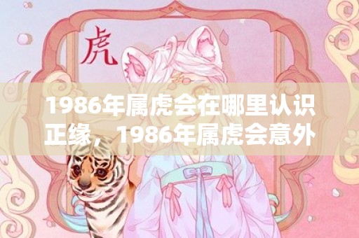 1986年属虎会在哪里认识正缘，1986年属虎会意外死亡吗