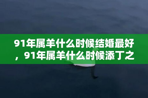 91年属羊什么时候结婚最好，91年属羊什么时候添丁之喜