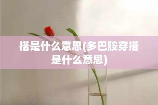 搭是什么意思(多巴胺穿搭是什么意思)