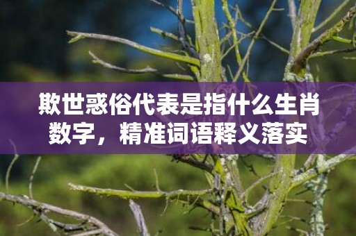 欺世惑俗代表是指什么生肖数字，精准词语释义落实