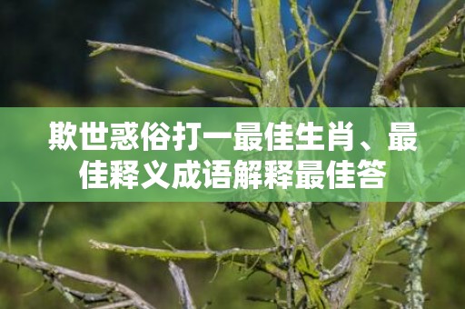 欺世惑俗打一最佳生肖、最佳释义成语解释最佳答