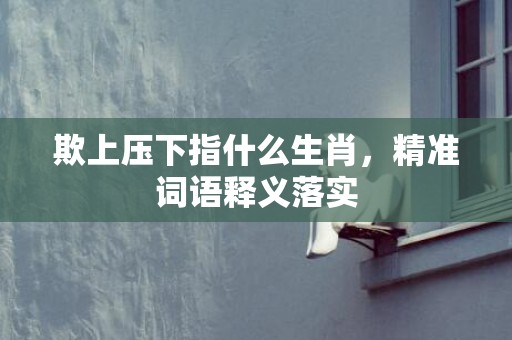 欺上压下指什么生肖，精准词语释义落实