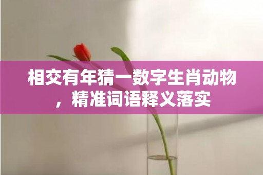 相交有年猜一数字生肖动物，精准词语释义落实