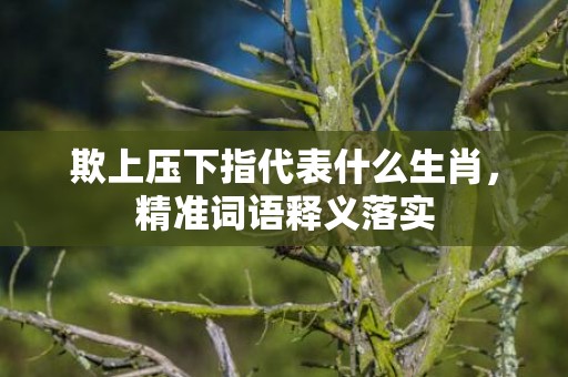 欺上压下指代表什么生肖，精准词语释义落实