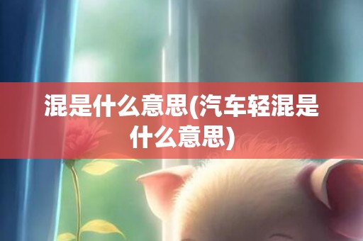 混是什么意思(汽车轻混是什么意思)