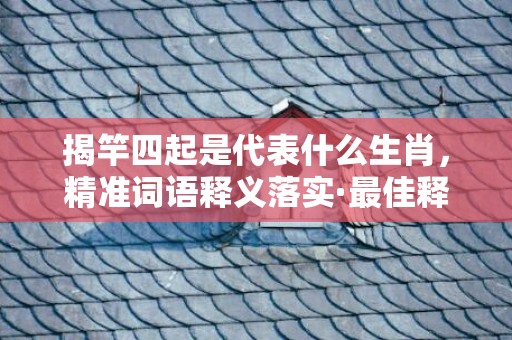 揭竿四起是代表什么生肖，精准词语释义落实·最佳释义成语解释最佳答