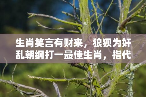 生肖笑言有财来，狼狈为奸乱朝纲打一最佳生肖，指代表什么生肖，标准成语落实释义