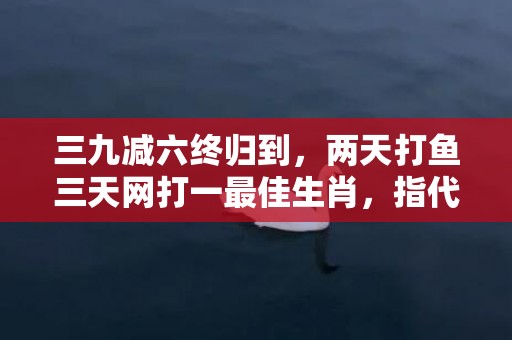三九减六终归到，两天打鱼三天网打一最佳生肖，指代表什么生肖，标准成语落实释义