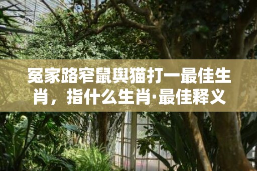 冤家路窄鼠舆猫打一最佳生肖，指什么生肖·最佳释义成语解释最佳答