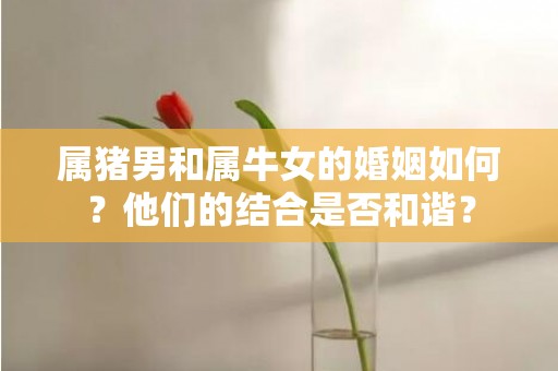 属猪男和属牛女的婚姻如何？他们的结合是否和谐？