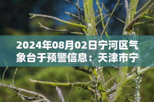 2024年08月02日宁河区气象台于预警信息：天津市宁河区发布暴雨蓝色预警