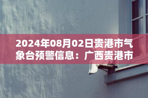 2024年08月02日贵港市气象台预警信息：广西贵港市发布雷雨大风黄色预警