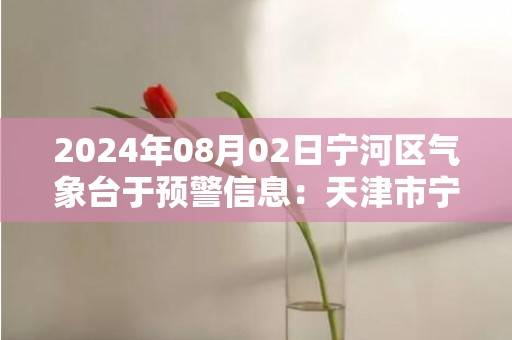 2024年08月02日宁河区气象台于预警信息：天津市宁河区发布冰雹橙色预警