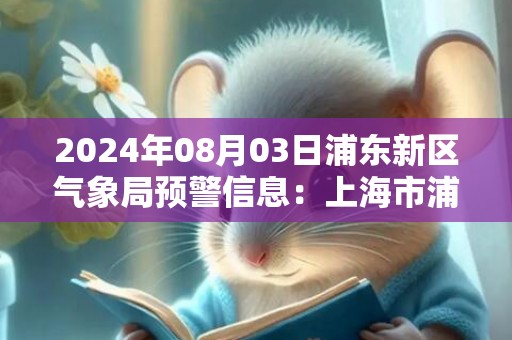 2024年08月03日浦东新区气象局预警信息：上海市浦东新区发布雷电黄色预警