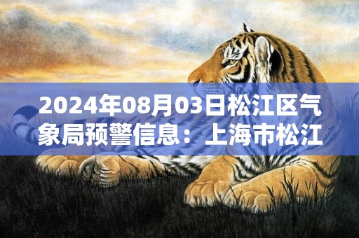 2024年08月03日松江区气象局预警信息：上海市松江区发布雷电黄色预警