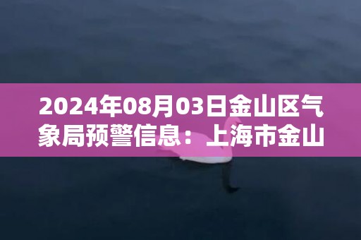 2024年08月03日金山区气象局预警信息：上海市金山区发布雷电黄色预警