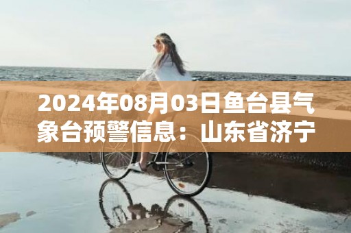 2024年08月03日鱼台县气象台预警信息：山东省济宁市鱼台县发布高温橙色预警