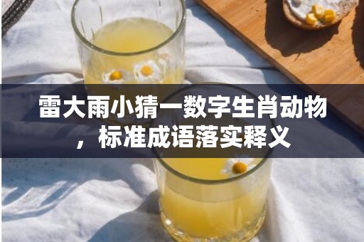 雷大雨小猜一数字生肖动物，标准成语落实释义
