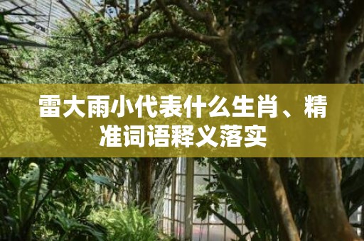 雷大雨小代表什么生肖、精准词语释义落实