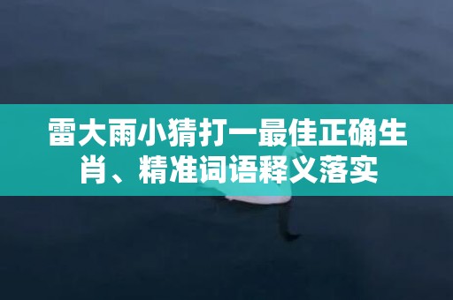 雷大雨小猜打一最佳正确生肖、精准词语释义落实