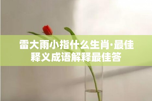 雷大雨小指什么生肖·最佳释义成语解释最佳答