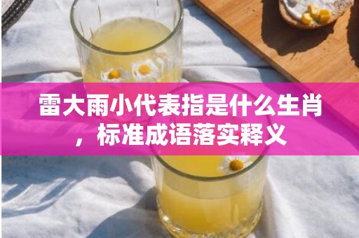 雷大雨小代表指是什么生肖，标准成语落实释义