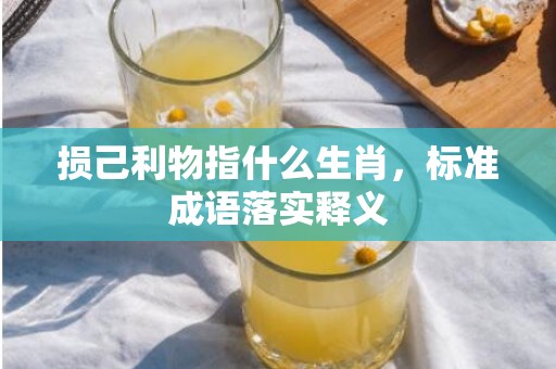 损己利物指什么生肖，标准成语落实释义