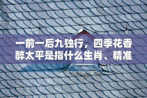 一前一后九独行，四季花香醉太平是指什么生肖、精准词语释义落实