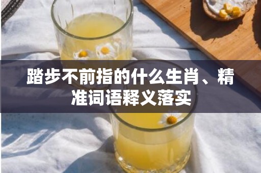 踏步不前指的什么生肖、精准词语释义落实