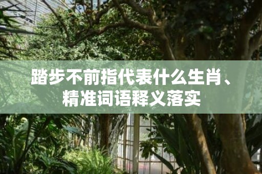 踏步不前指代表什么生肖、精准词语释义落实