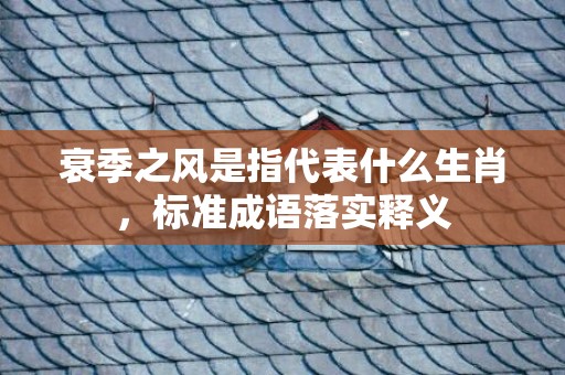 衰季之风是指代表什么生肖，标准成语落实释义
