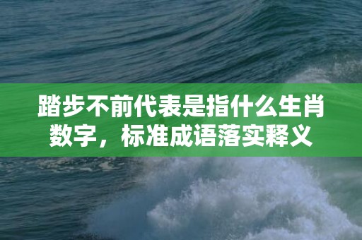 踏步不前代表是指什么生肖数字，标准成语落实释义