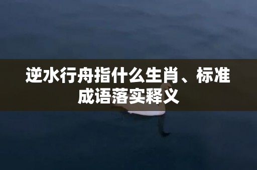 逆水行舟指什么生肖、标准成语落实释义
