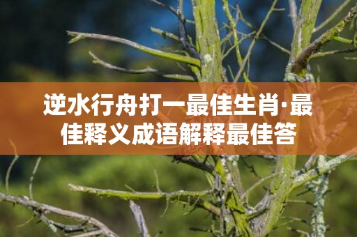 逆水行舟打一最佳生肖·最佳释义成语解释最佳答