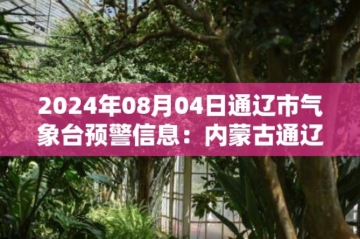 2024年08月04日通辽市气象台预警信息：内蒙古通辽市发布雷电黄色预警