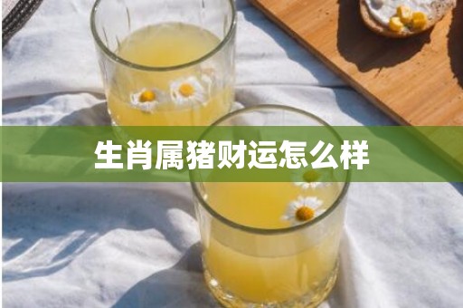 生肖属猪财运怎么样