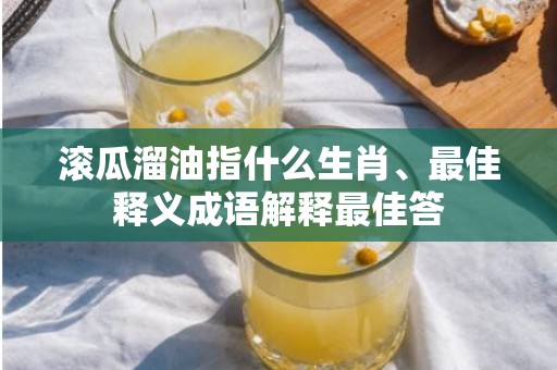 滚瓜溜油指什么生肖、最佳释义成语解释最佳答