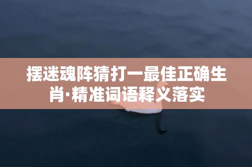 摆迷魂阵猜打一最佳正确生肖·精准词语释义落实