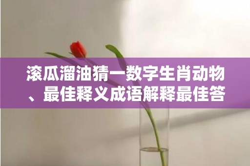 滚瓜溜油猜一数字生肖动物、最佳释义成语解释最佳答