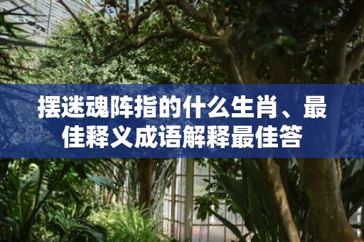 摆迷魂阵指的什么生肖、最佳释义成语解释最佳答