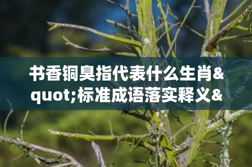 书香铜臭指代表什么生肖"标准成语落实释义"