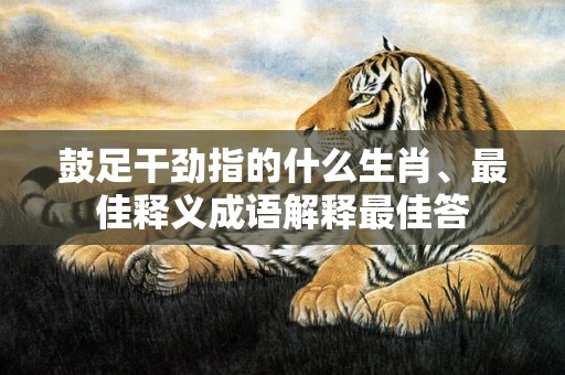 鼓足干劲指的什么生肖、最佳释义成语解释最佳答