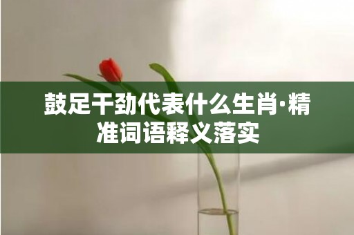 鼓足干劲代表什么生肖·精准词语释义落实