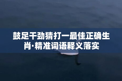 鼓足干劲猜打一最佳正确生肖·精准词语释义落实