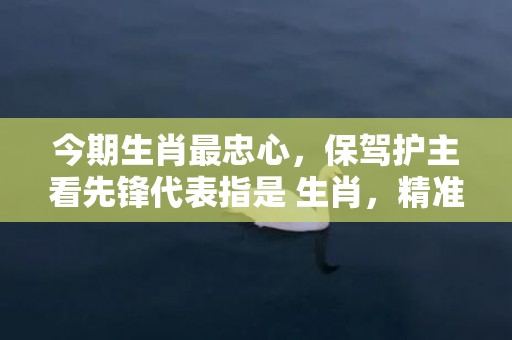 今期生肖最忠心，保驾护主看先锋代表指是 生肖，精准落实词语释义