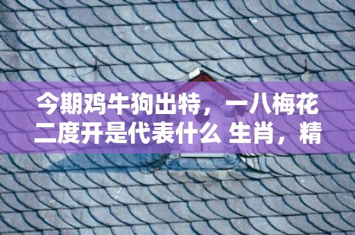 今期鸡牛狗出特，一八梅花二度开是代表什么 生肖，精准落实词语释义