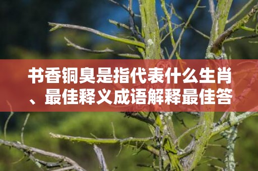书香铜臭是指代表什么生肖、最佳释义成语解释最佳答