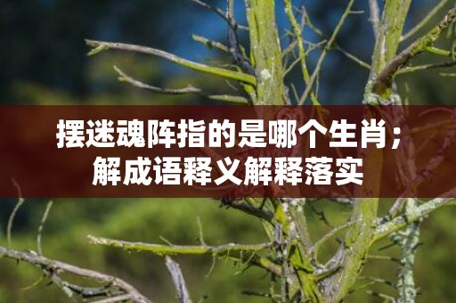 摆迷魂阵指的是哪个生肖；解成语释义解释落实